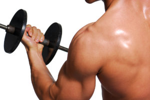 Read more about the article Estratégias nutricionais para ganho efetivo de massa muscular